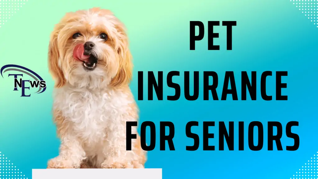Pet Insurance for Seniors